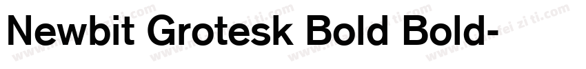 Newbit Grotesk Bold Bold字体转换